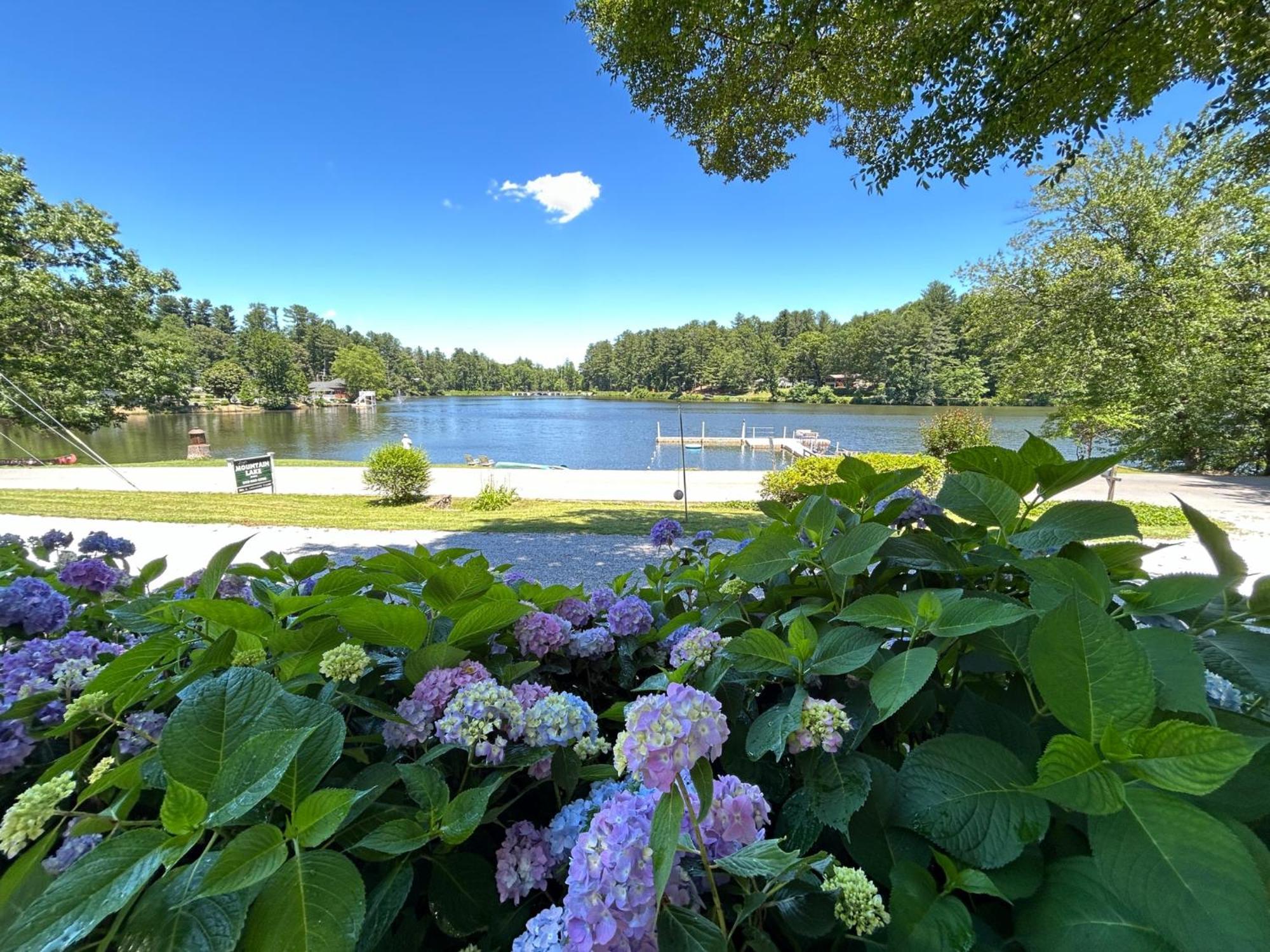 Mountain Lake Cottages هيندرسونفيل المظهر الخارجي الصورة